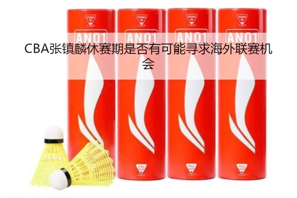 CBA张镇麟休赛期是否有可能寻求海外联赛机会